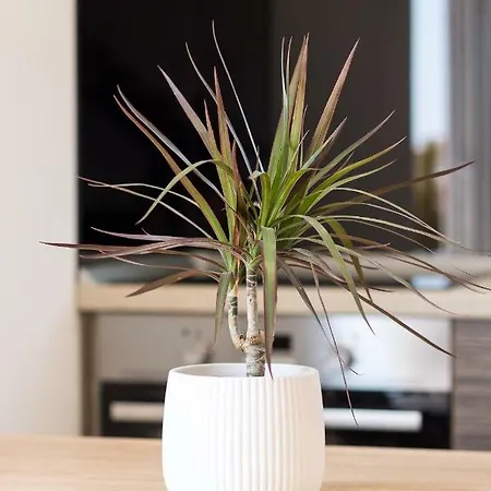 Marojica 2 Gasthof 3*